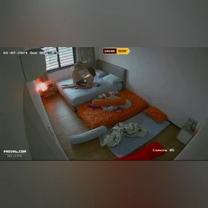 Hack Camera vợ chồng chịch nhau khi con đi học